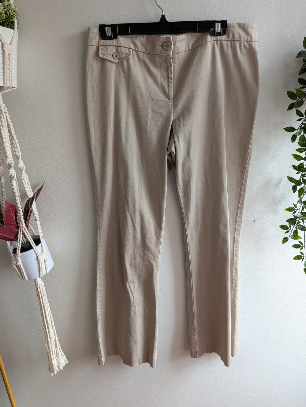 Tommy Hilfiger 100% Cotton Women's Casual Pants